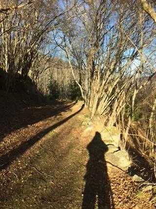 Dom wakacyjny Bol D'air A