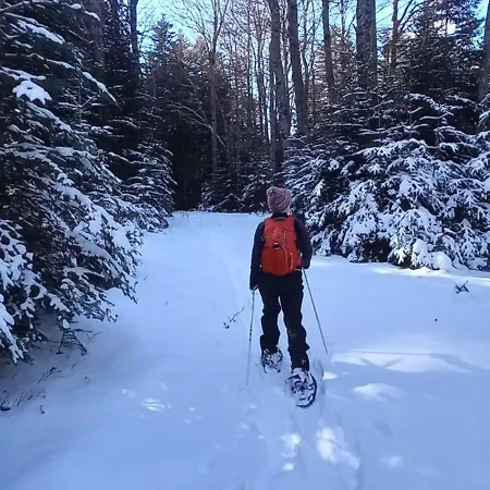 Bol D'air A بيت للعطل *